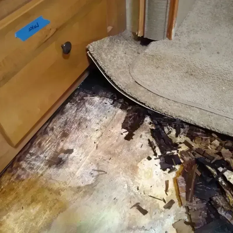 Wood Floor Water Damage in Nassau County, NY